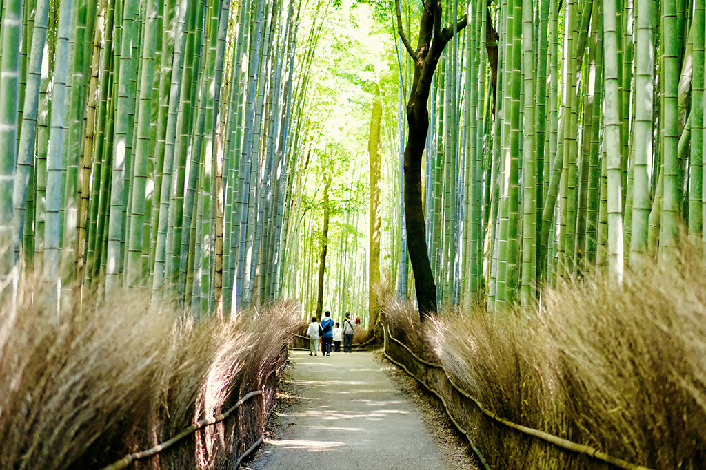 ÔCombiné - Osaka, Kyoto, Hakone & Tokyo, les incontournables, Séjour Japon par Ôvoyages