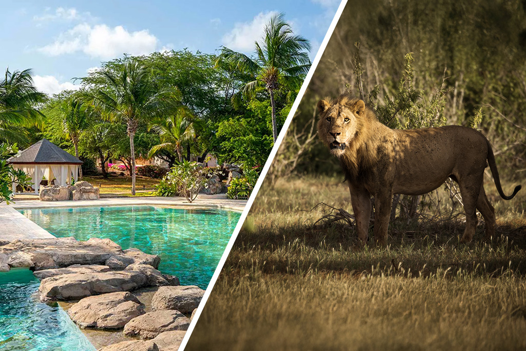 Ôcombiné - Lion In The Sun Boutique & Spa 4* & Safari 1 nuit, Séjour Kenya par Ôvoyages