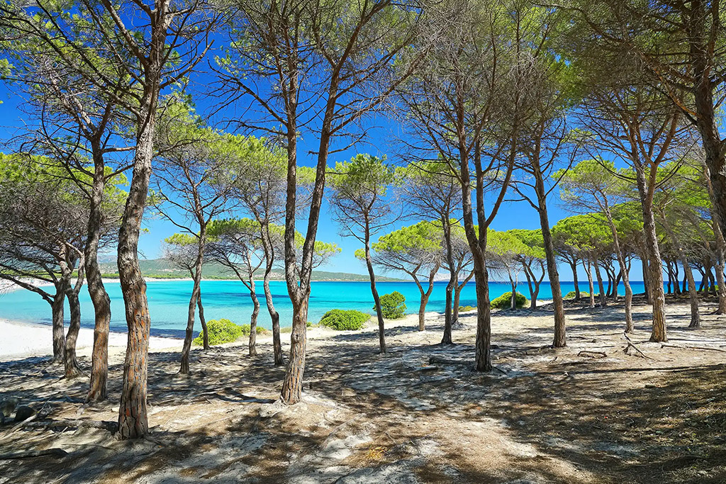 Valtur Sardegna Baia Dei Pini Resort 4*, Séjour Italie, Sardaigne par Ôvoyages