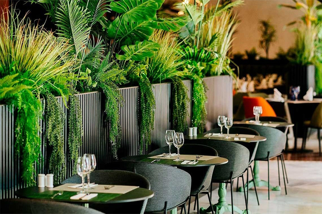 Image 7 du séjour R2 Rio Calma Hotel & Spa 4* By Ôvoyages à Fuerteventura, Canaries