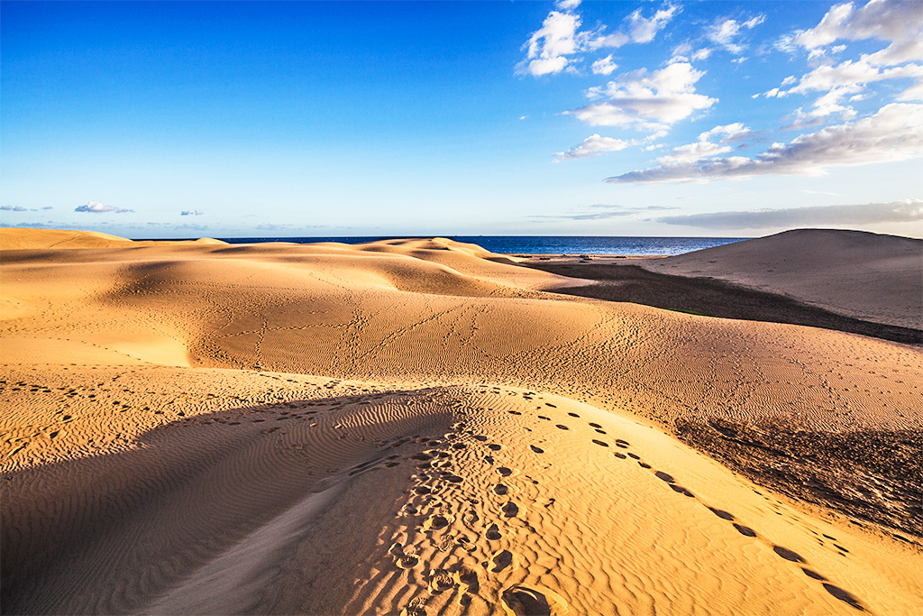 Hôtel Don Gregory by Dunas 4* Adult Only +16, Séjour Espagne & ses îles, Canaries, Grande Canarie par Ôvoyages