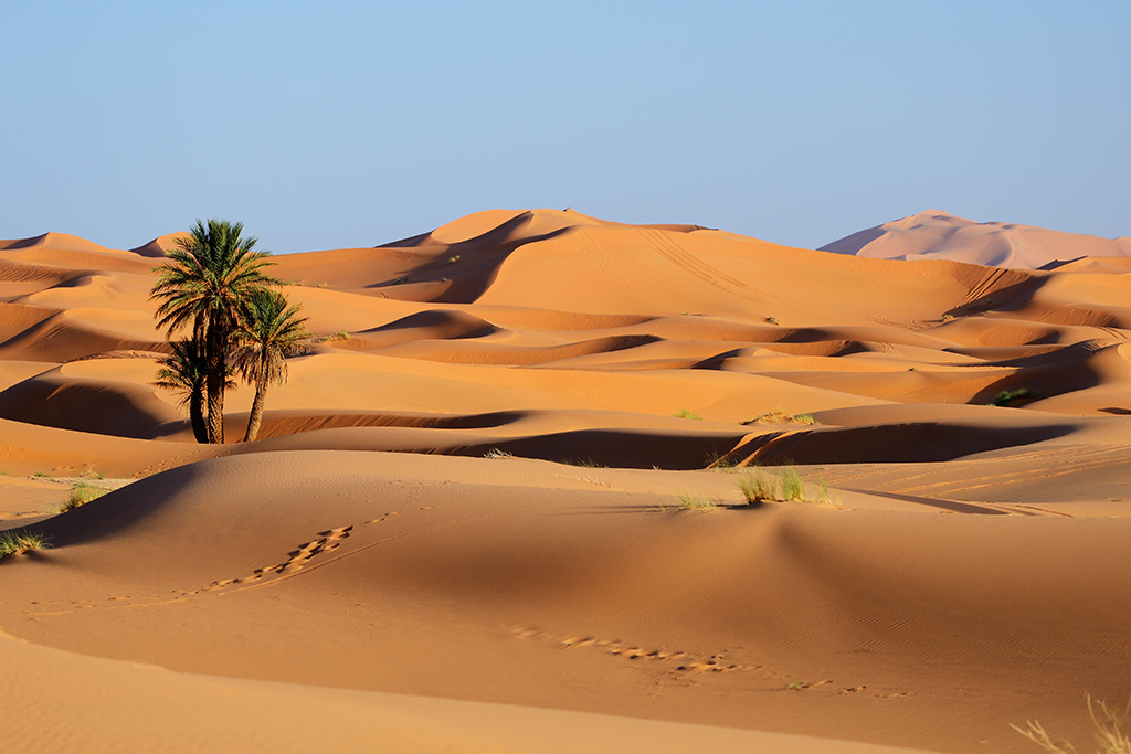 Ôcircuit Evasion - Marrakech, Fès & désert de Merzouga, Circuit Maroc, Fès par Ôvoyages