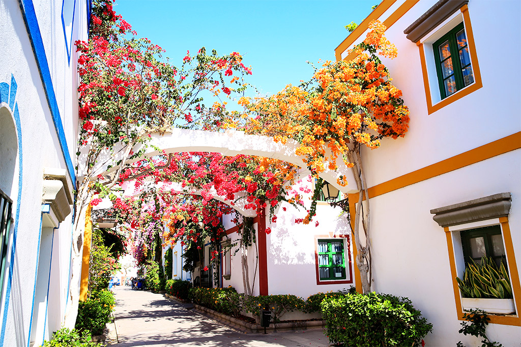 Hôtel Concorde 4*, Séjour Espagne & ses îles, Canaries, Grande Canarie par Ôvoyages Hôtel Concorde 4*, Séjour Espagne & ses îles, Canaries, Grande Canarie par Ôvoyages