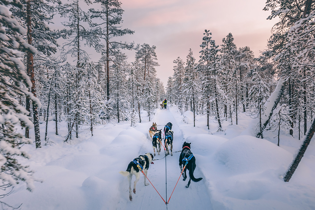 Hôtel Arctic City, Séjour Finlande, Laponie par Ôvoyages