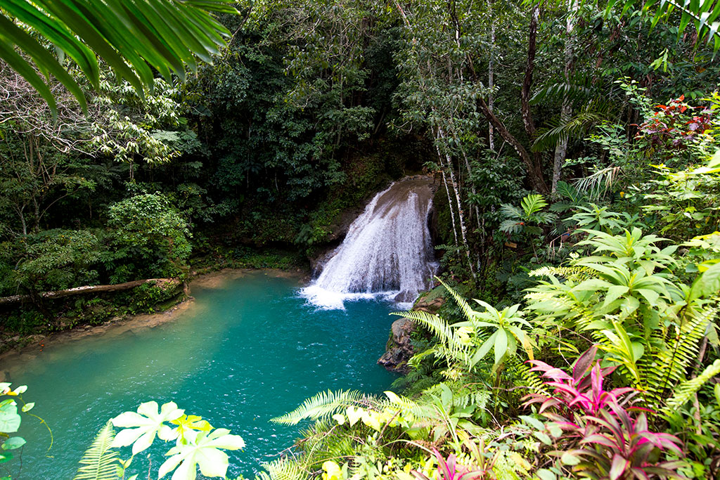 Hôtel Riu Ocho Rios 5*, Séjour Jamaïque par Ôvoyages