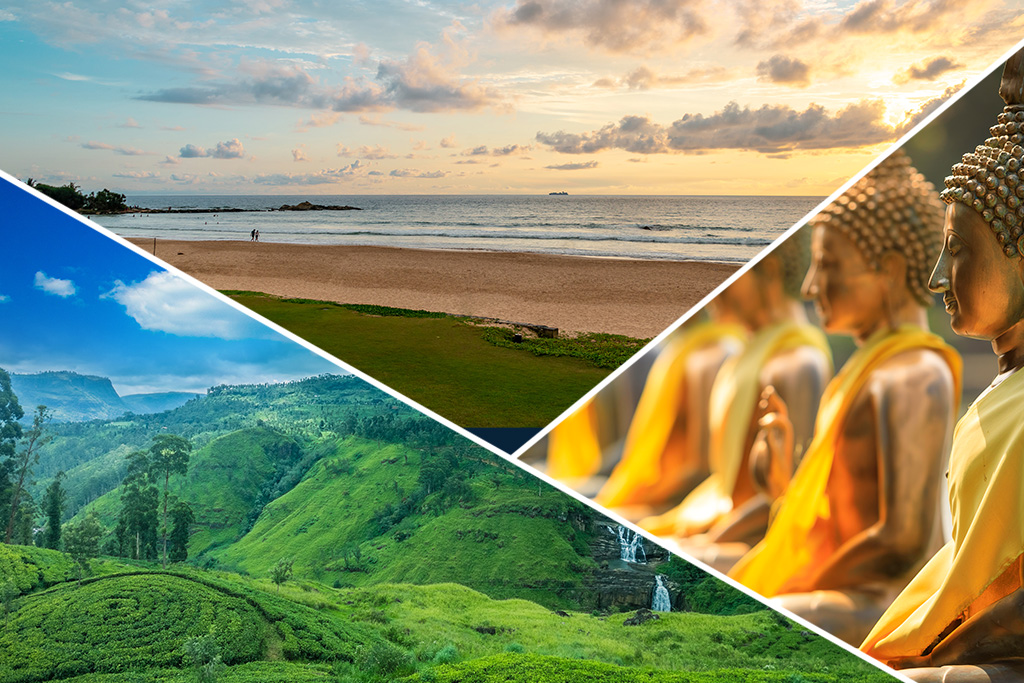 Ceylan Insolite en groupe : sport, jungle et plage 3*