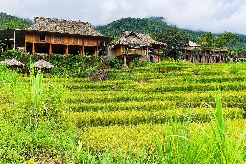 VIETNAM | 22j/19n - Circuit 
