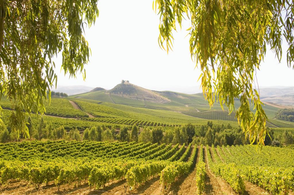 Circuit Les Îles Éoliennes 3* Sup, Circuit Italie, Sicile par Ôvoyages