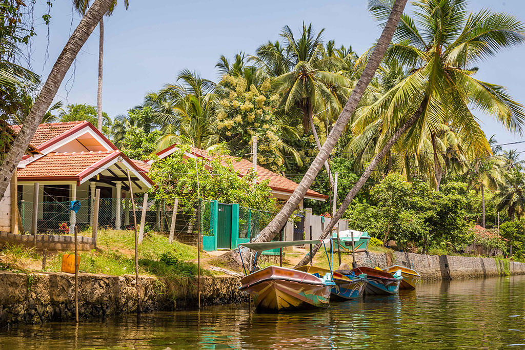 Circuit Les Incontournables du Sri Lanka & extension Maldives Dusit D2 Feydhoo 5* by Ôvoyages, Combiné Maldives par Ôvoyages