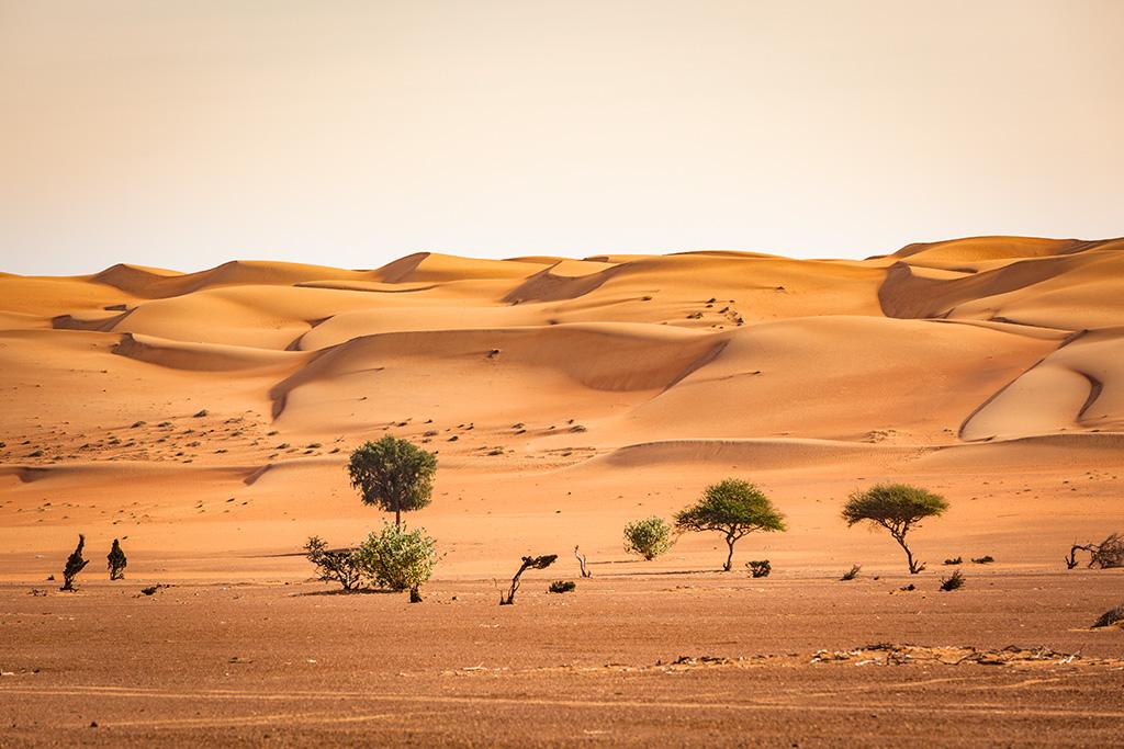 Circuit à la Découverte d'Oman, Circuit Oman par Ôvoyages