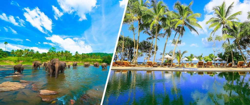 Combiné Balade et Plage Sri Lankaise - En circuit privatif