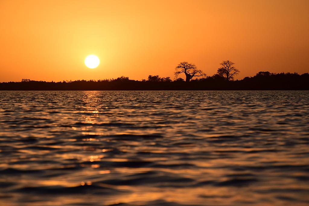 Combiné Circuit Balade Sénégalaise 3* & Ôclub Experience African Village Bougainvillées 3*, Circuit Sénégal par Ôvoyages Combiné Circuit Balade Sénégalaise 3* & Ôclub Experience African Village Bougainvillées 3*, Circuit Sénégal par Ôvoyages