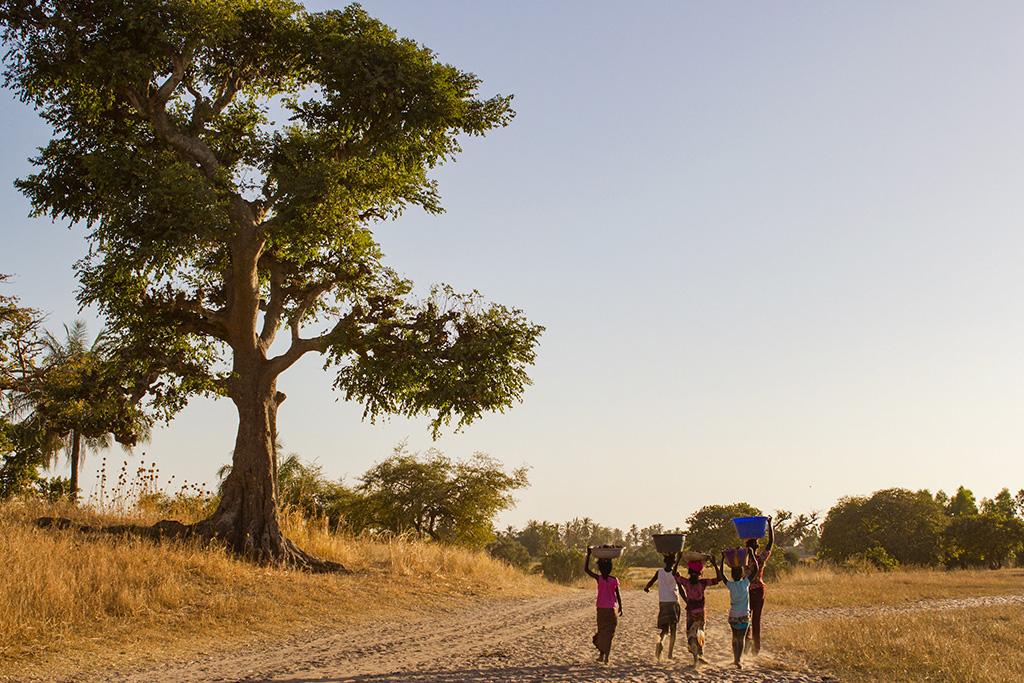 Combiné Circuit Balade Sénégalaise 3* & Ôclub Experience African Village Bougainvillées 3*, Circuit Sénégal par Ôvoyages Combiné Circuit Balade Sénégalaise 3* & Ôclub Experience African Village Bougainvillées 3*, Circuit Sénégal par Ôvoyages