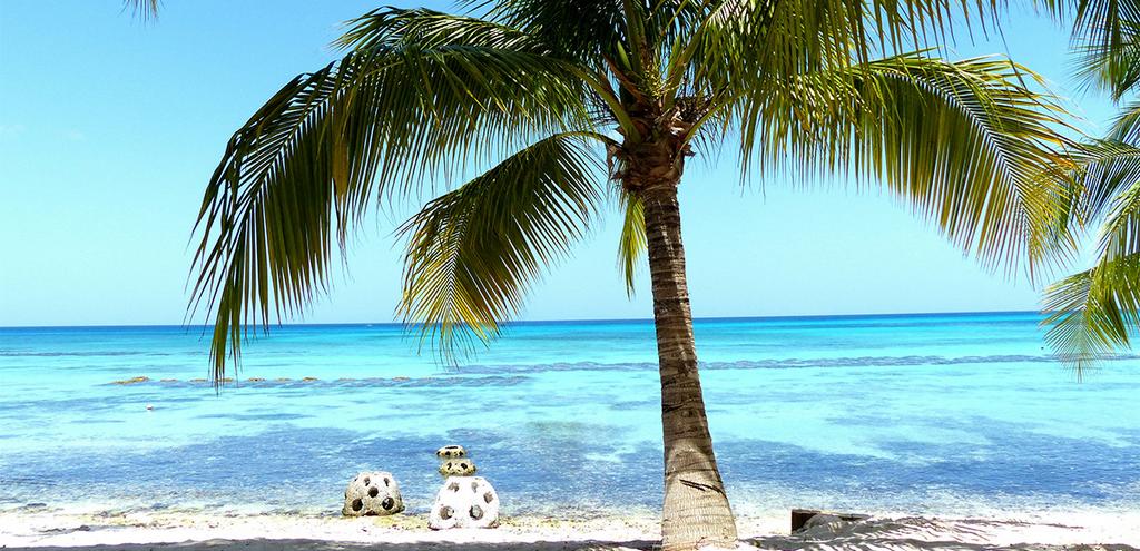 Combiné Novus Plaza Hodelpa 3* & Ôclub Zen HM Alma de Bayahibe 4* Adult Only +18, Combiné République Dominicaine, Punta Cana par Ôvoyages