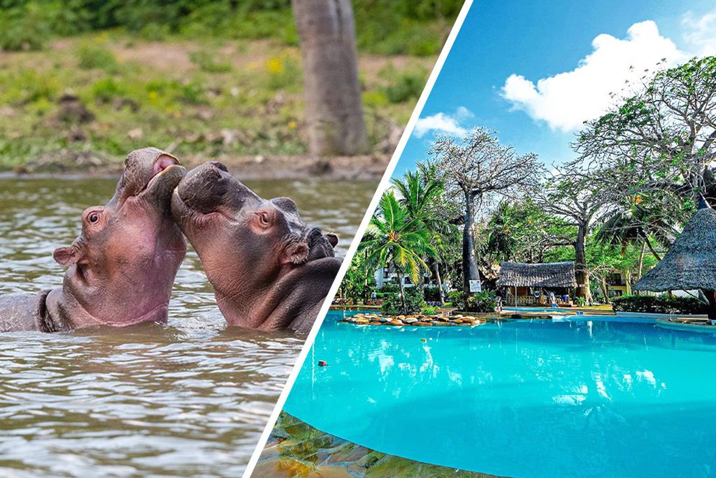 Combiné Safari inoubliable au Kenya : Masai Mara, Naivasha & Amboseli & Ôclub Experience Papillon Lagoon Reef 3*