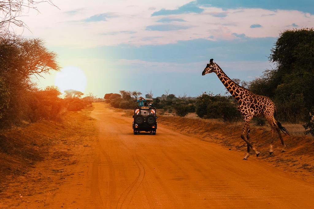 Combiné Safari inoubliable au Kenya : Masai Mara, Naivasha & Amboseli & Ôclub Experience Papillon Lagoon Reef 4*, Combiné Kenya par Ôvoyages