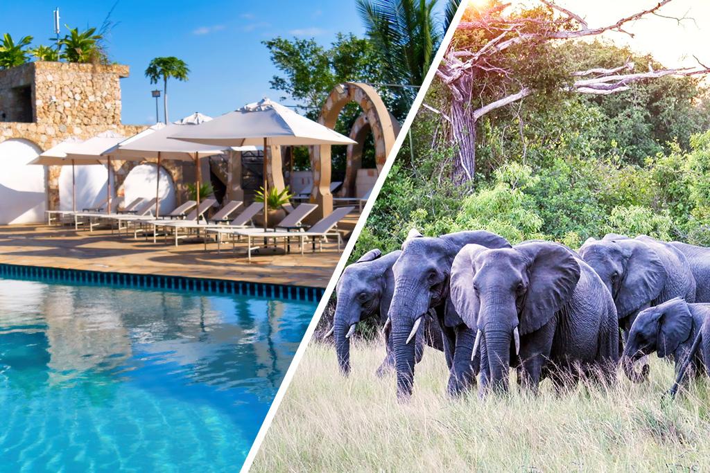 Hôtel Palumbo Waves Resort 4* + Safari 1 nuit en avion, Combiné Tanzanie, Zanzibar par Ôvoyages Hôtel Palumbo Waves Resort 4* + Safari 1 nuit en avion, Combiné Tanzanie, Zanzibar par Ôvoyages