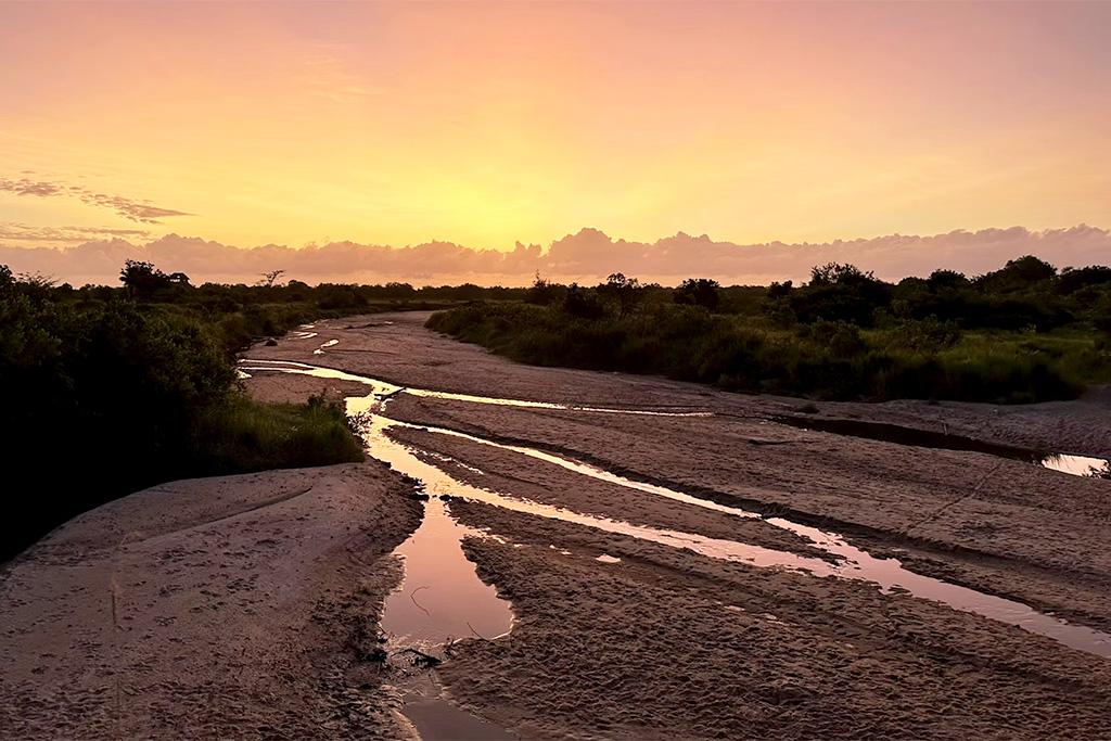 Hôtel Palumbo Waves Resort 4* + Safari 1 nuit en avion, Combiné Tanzanie, Zanzibar par Ôvoyages Hôtel Palumbo Waves Resort 4* + Safari 1 nuit en avion, Combiné Tanzanie, Zanzibar par Ôvoyages