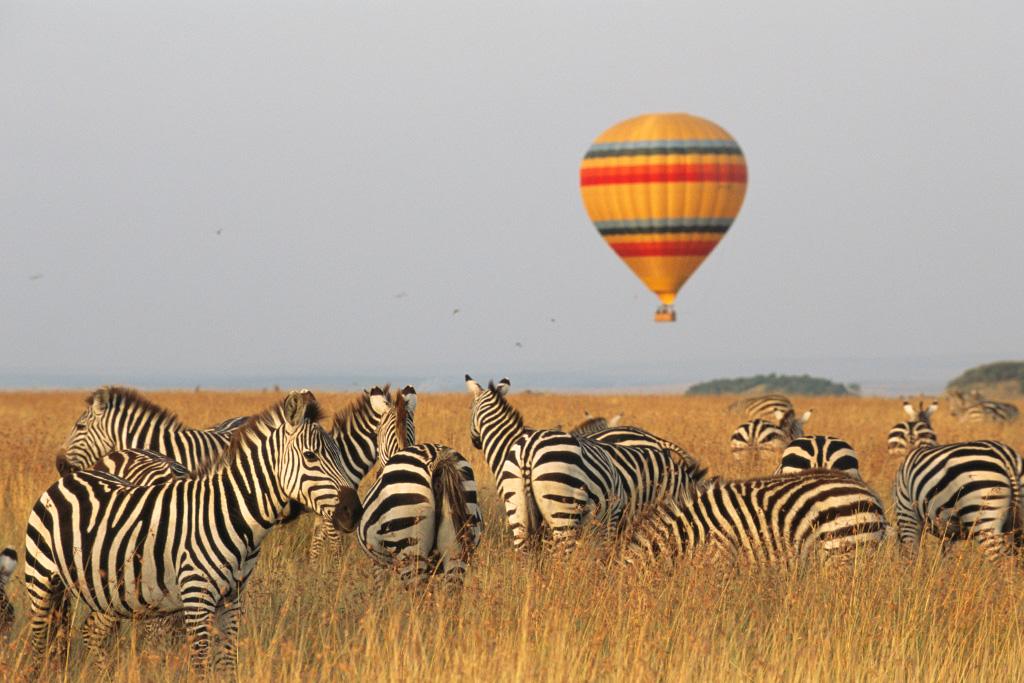 Combiné Safari Kenya : Tsavo, Naivasha, Lac Naivasha et Amboseli & Leopard Beach Resort 5*, Combiné Kenya par Ôvoyages
