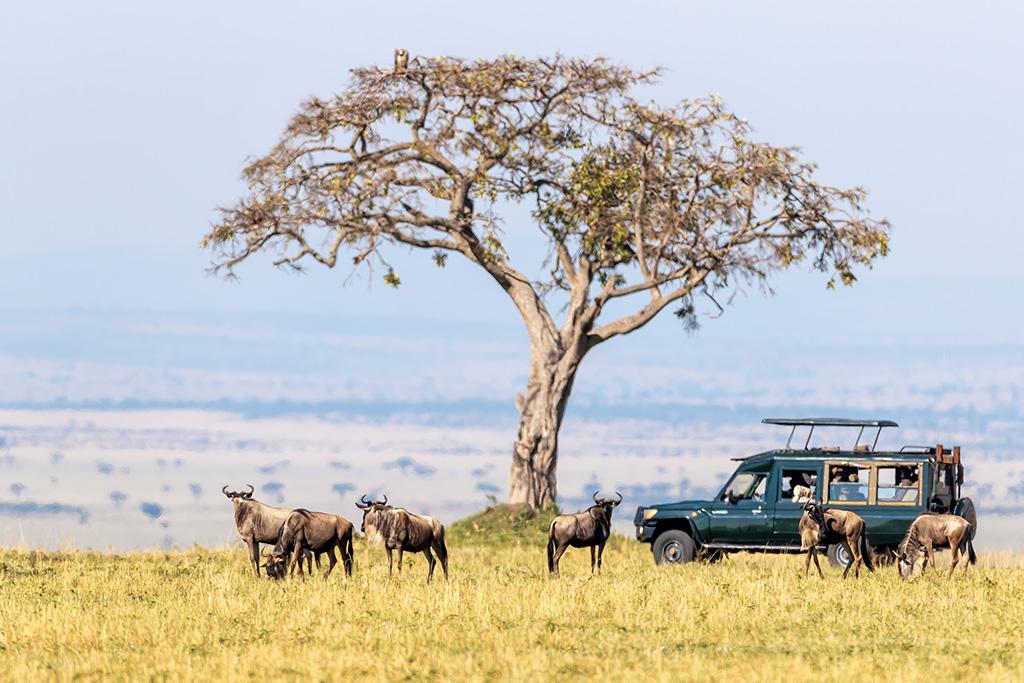 Combiné Safari Kenya : Tsavo, Naivasha, Lac Naivasha et Amboseli & Leopard Beach Resort 5*, Combiné Kenya par Ôvoyages