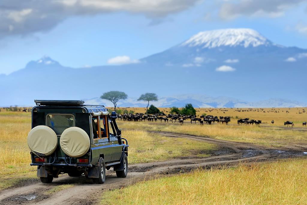 Combiné Safari Kenya de la vallée du Grand Rift à Masai Mara & Leopard Beach Resort 5*, Combiné Kenya par Ôvoyages