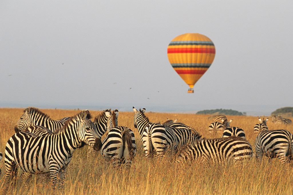 Combiné Safari Kenya de la vallée du Grand Rift à Masai Mara & Leopard Beach Resort 5*, Combiné Kenya par Ôvoyages