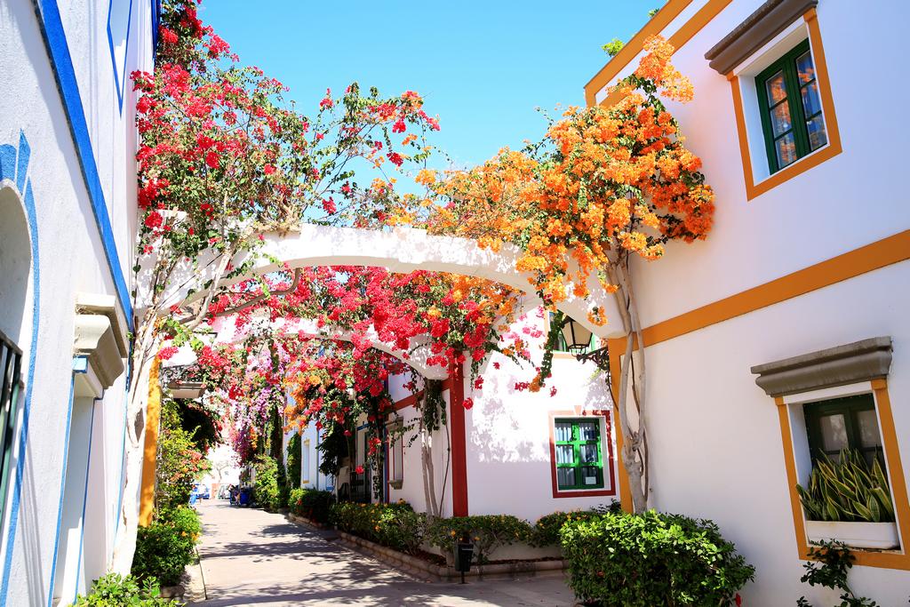 Bungalows Cordial Sandy Golf 2*, Séjour Espagne & ses îles, Canaries, Grande Canarie par Ôvoyages Bungalows Cordial Sandy Golf 2*, Séjour Espagne & ses îles, Canaries, Grande Canarie par Ôvoyages