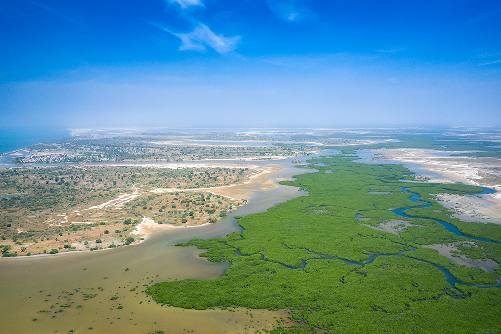 Circuit Découverte de la Mangrove 3*