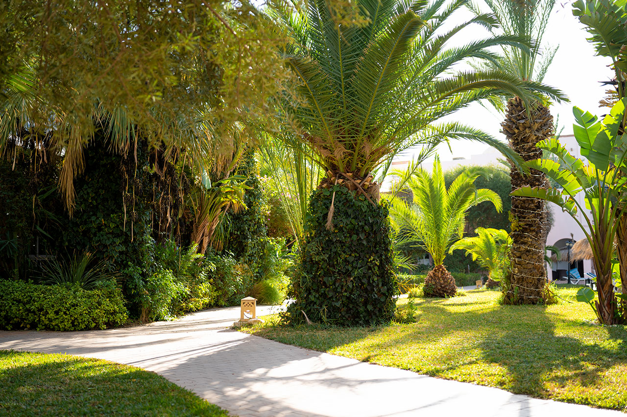 Eden Yasmine Resort & Spa 4*, Séjour Tunisie, Tunis par Ôvoyages Eden Yasmine Resort & Spa 4*, Séjour Tunisie, Tunis par Ôvoyages