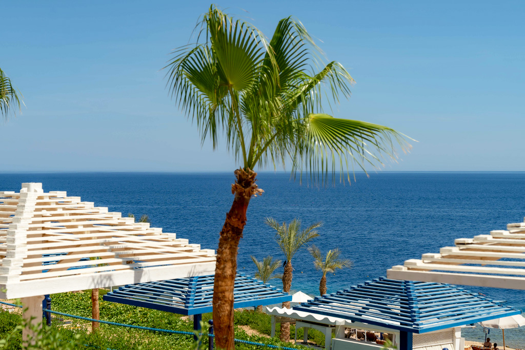 Hôtel Grand Oasis Resort 4*, Séjour Egypte, Sharm El Sheikh par Ôvoyages