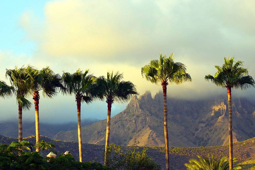 LIVVO SKYVIEW TENERIFE 4*, Séjour Espagne & ses îles, Canaries, Tenerife par Ôvoyages