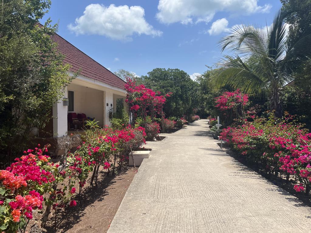 Combiné Ôclub Zen Pearl Beach Resort 4* & Safari 2 nuits, Combiné Tanzanie, Zanzibar par Ôvoyages