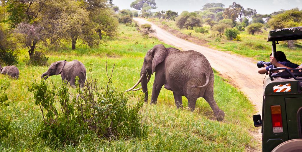 Combiné Ôclub Zen Pearl Beach Resort 4* & Safari 2 nuits, Combiné Tanzanie, Zanzibar par Ôvoyages
