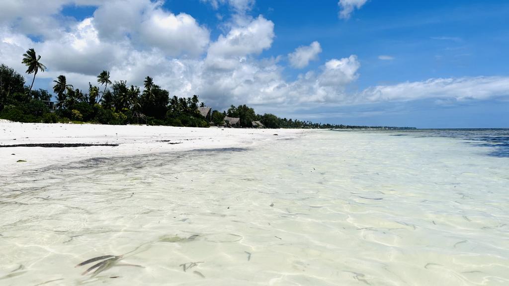 Hôtel Palumbo Mnemba View 4* Sup + Safari 1 nuit, Combiné Tanzanie, Zanzibar par Ôvoyages
