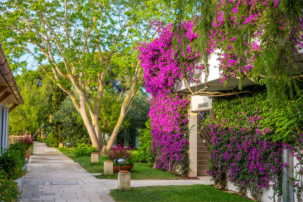 Hôtel Robinson Apulia Resort 4*, Séjour Italie, Pouilles par Ôvoyages Hôtel Robinson Apulia Resort 4*, Séjour Italie, Pouilles par Ôvoyages