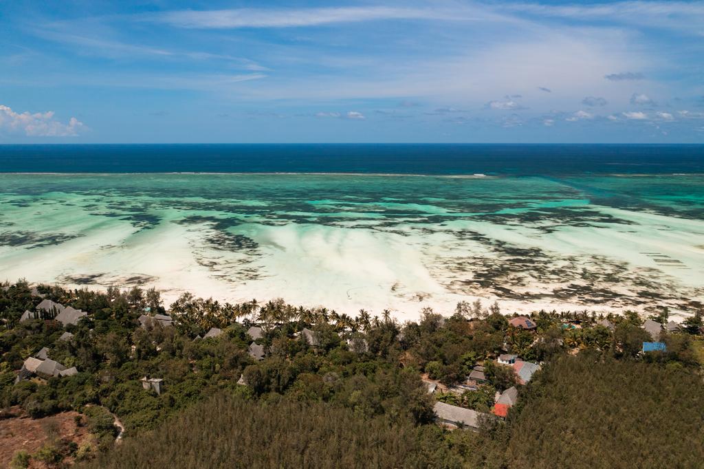 ZANZIBAR l Paje - Ôclub Select SBH Monica Zanzibar 5* - avec safari 2 nuits, Séjour Tanzanie, Zanzibar par Ôvoyages