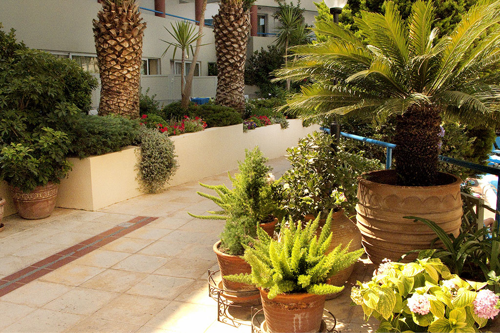 Image 4 du séjour Smart club Ibiscos Garden Hotel 4* à Rethymnon, Crète
