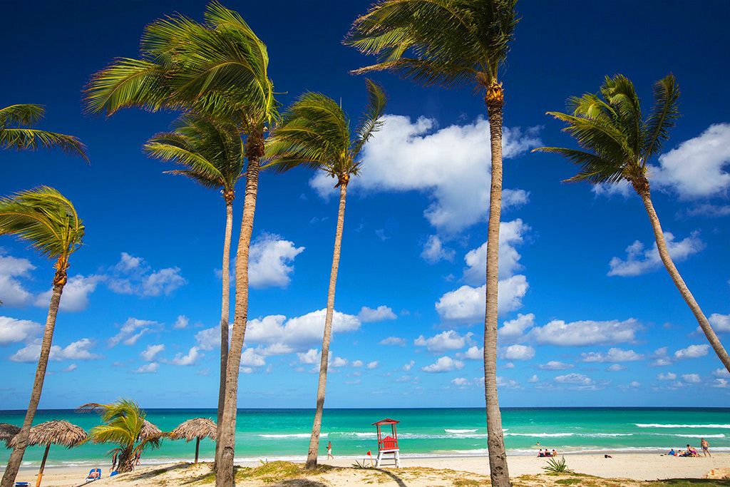 Hôtel Starfish Cuatro Palmas 4* Adult Only +16, Séjour Cuba par Ôvoyages