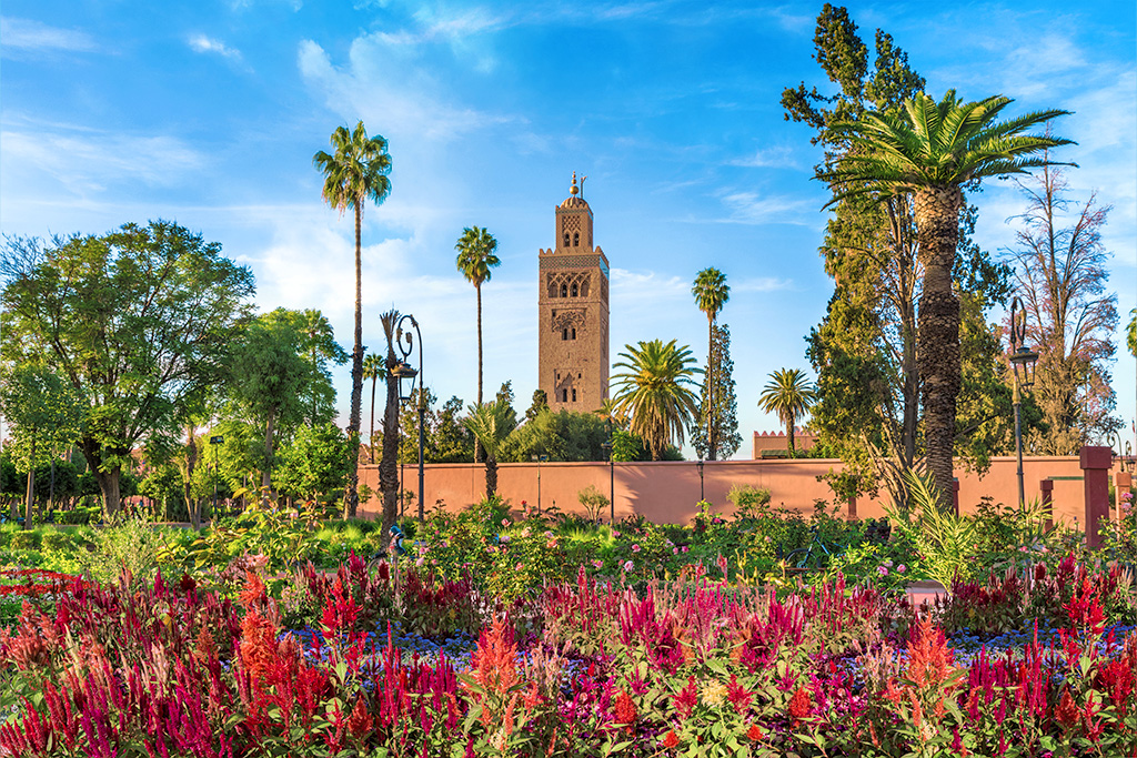 MAROC | 5j/4n - Circuit 