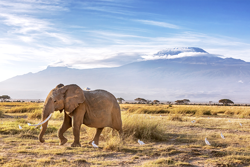 Hôtel Leopard Beach Resort 5* + Safari 2 nuits, Combiné Kenya par Ôvoyages