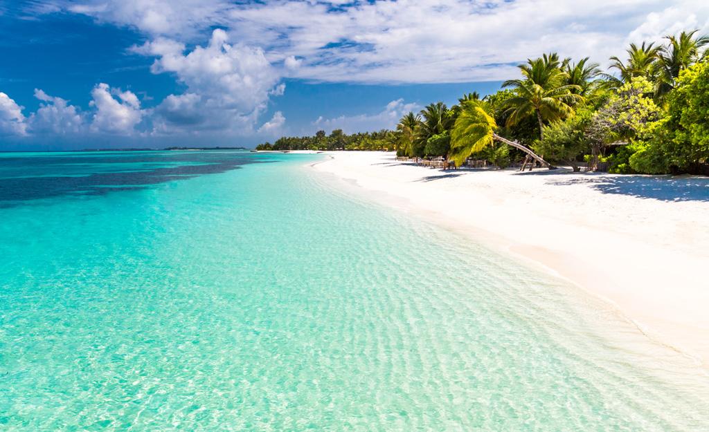 Hôtel Riu Atoll 4*, Séjour Maldives par Ôvoyages Hôtel Riu Atoll 4*, Séjour Maldives par Ôvoyages